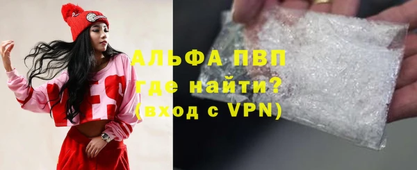 шишки Арсеньев