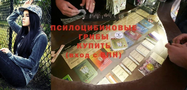 шишки Арсеньев
