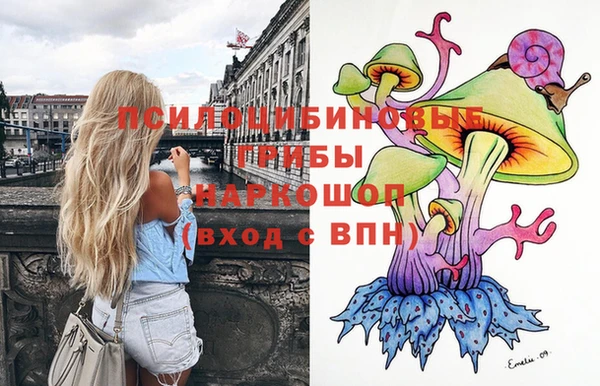 шишки Арсеньев