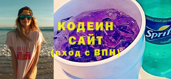 шишки Арсеньев