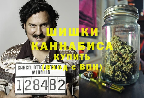 шишки Арсеньев