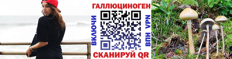 Галлюциногенные грибы ЛСД  Кондрово 